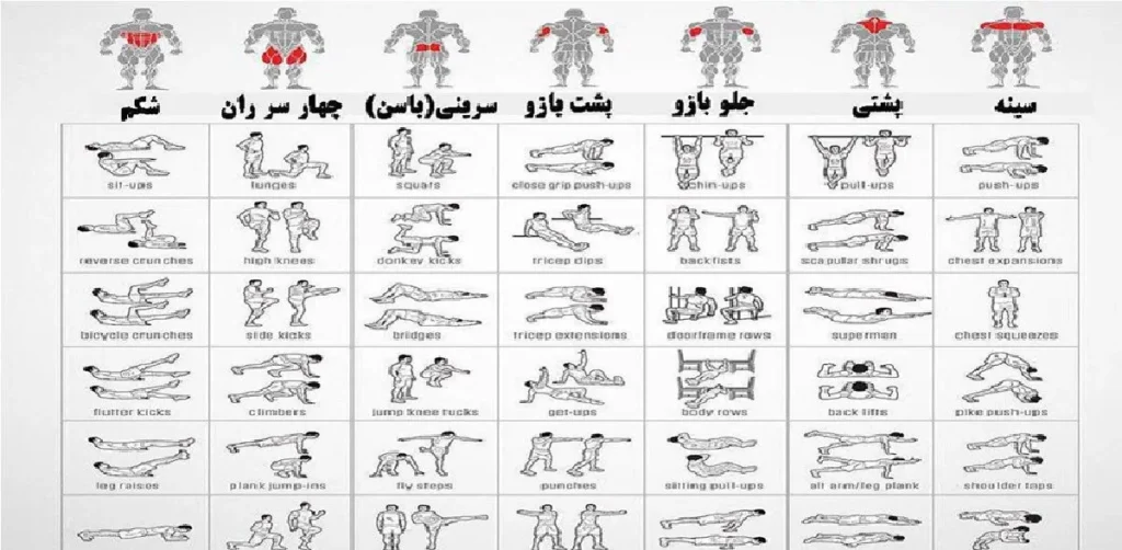 برنامه تمرینی 