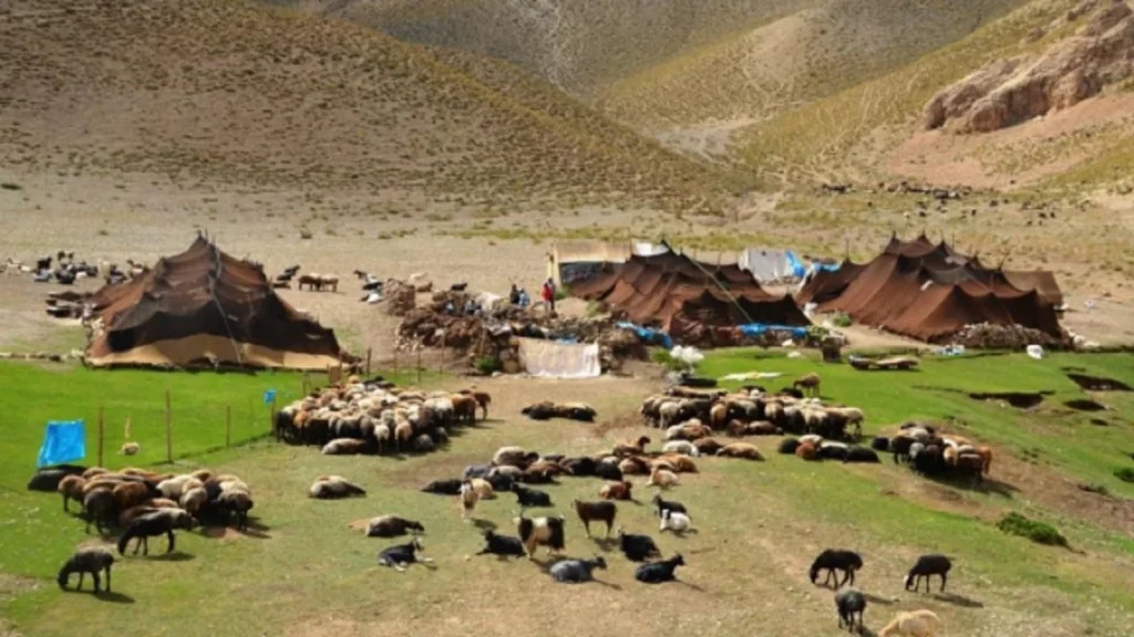 بهترین زمان برای سفر به مناطق عشایری ایران