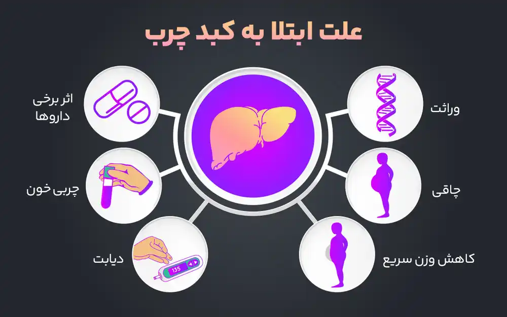 عوامل موثر بر کبد چرب