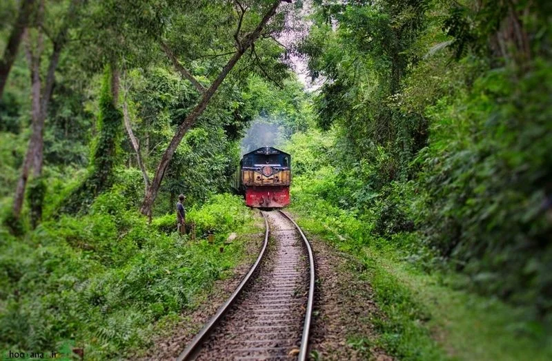 سفر برای طبیعت‌گردان