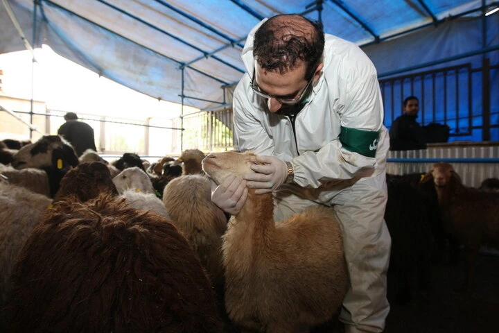 آماده‌سازی محل قربانی