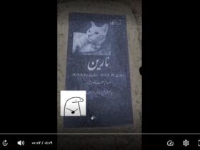 کشف رازهای مرموز قبرستان حیوانات خانگی در ایران