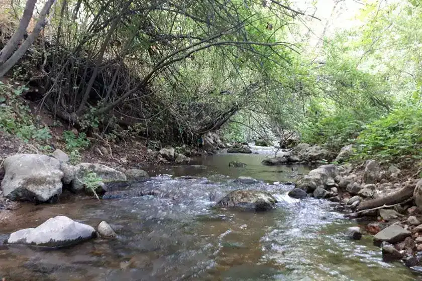 روستای نسمه پاوه