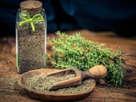 گیاهان دارویی در درمان بیماری های گوارشی
