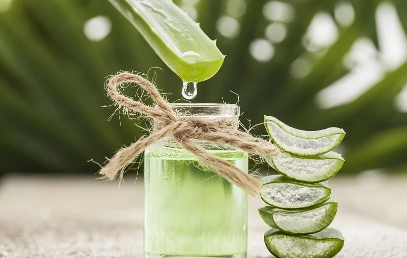 آلوئه‌ورا (Aloe Vera) – تسکین‌ دهنده و ضد التهاب