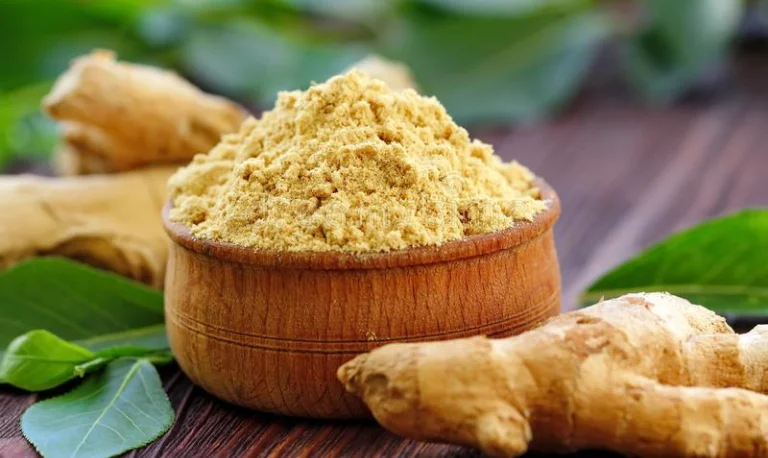 زنجبیل (Ginger) – تسکین‌ دهنده درد و ضد التهاب