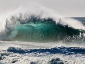 هشدار دریایی سطح نارنجی در بوشهر