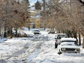 هشدار هواشناسی: بارش برف و باران در این مناطق قطعی شد