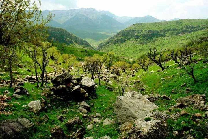 منطقه حفاظت‌ شده دنا کهگیلویه و بویراحمد