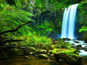 مکان ها و جاهای دیدنی قائم شهر