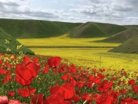 مکان ها و جاهای دیدنی گنبدکاووس