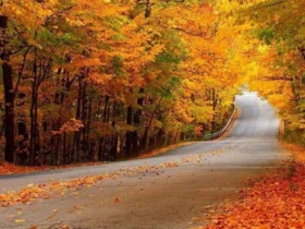 مکان‌ها و جاهای دیدنی گلستان