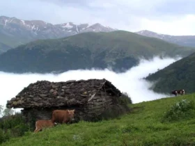 مکان ها و جاهای دیدنی رودسر