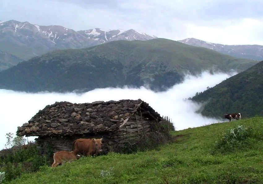 مکان ها و جاهای دیدنی رودسر