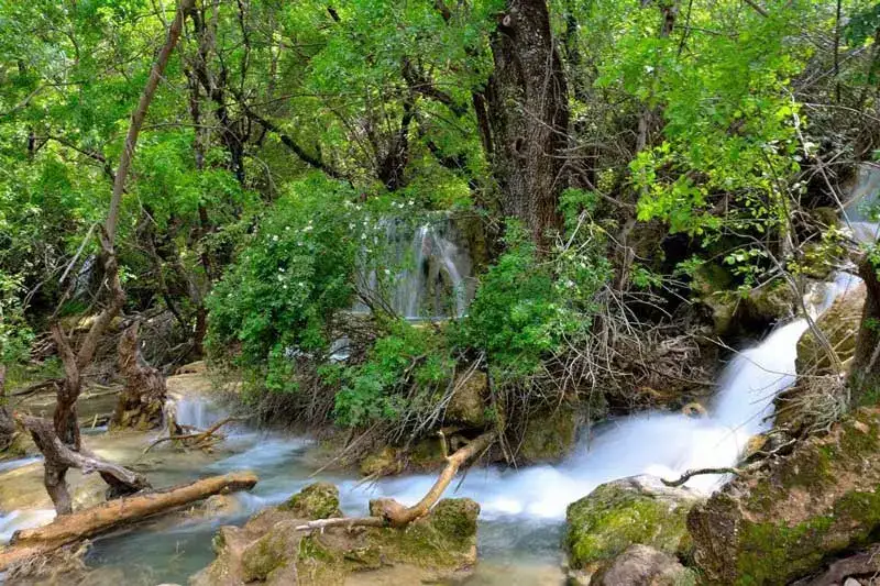 جنگل و آبشار نای‌انگیز خرم آباد