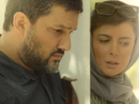 مدیرعامل بهمن سبز: چه کسی بلیت ۲۲۰ هزار تومانی پیر پسر را می‌خرد؟