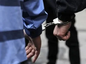 متهمان قتل دانشجوی دانشگاه تهران دستگیر شدند