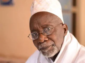 سلیمان سیسه، داور جشنواره «سینماحقیقت» درگذشت