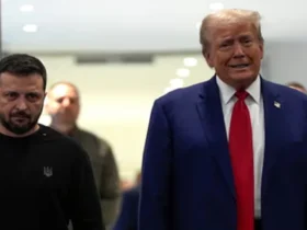 آیا آمریکا در حال تصاحب نیروگاه‌ های هسته‌ای اوکراین است؟ جزئیات پیشنهاد جنجالی ترامپ