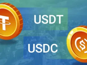 رشد چشمگیر استیبل‌کوین‌ها در آمریکای لاتین: USDC و USDT پیشتاز هستند