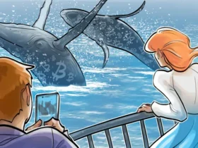 چرا نهنگ‌ های بیت‌کوین از فروش دست کشیدند؟ راز پنهان آن را کشف کنید!
