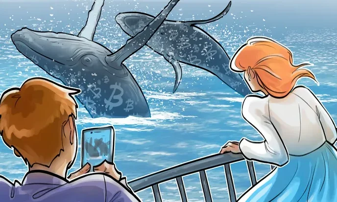 چرا نهنگ‌ های بیت‌کوین از فروش دست کشیدند؟ راز پنهان آن را کشف کنید!