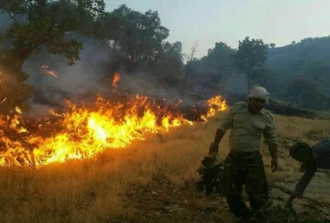 آتش‌سوزی در ارتفاعات پردیس تهران