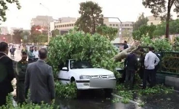 طوفان شدید در تهران؛ ۶ مصدوم و خسارت‌های فراوان