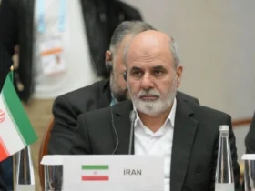 احمدیان در اجلاس بریکس: سلاح اتمی در دکترین ایران جایی ندارد _ پیشنهاد ایران برای استقلال اقتصادی بریکس
