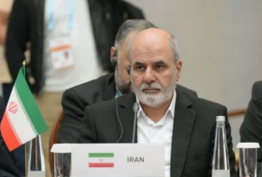 احمدیان در اجلاس بریکس: سلاح اتمی در دکترین ایران جایی ندارد _ پیشنهاد ایران برای استقلال اقتصادی بریکس