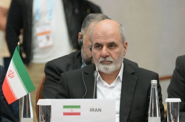 احمدیان در اجلاس بریکس: سلاح اتمی در دکترین ایران جایی ندارد _ پیشنهاد ایران برای استقلال اقتصادی بریکس