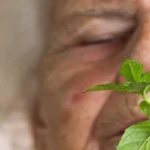 آیا بوی نعناع حافظه را نجات می‌دهد؟ یافته‌ای جدید علیه آلزایمر!