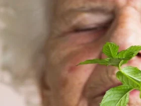 آیا بوی نعناع حافظه را نجات می‌دهد؟ یافته‌ای جدید علیه آلزایمر!