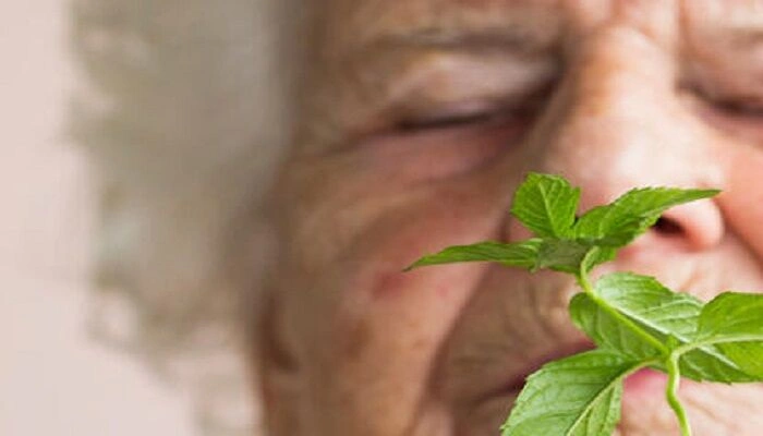 آیا بوی نعناع حافظه را نجات می‌دهد؟ یافته‌ای جدید علیه آلزایمر!