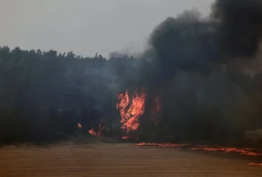 آتش‌سوزی گسترده در اسرائیل دوباره شعله‌ور شد؛ منطقه لترون درگیر شد