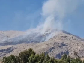 آتش‌سوزی گسترده در کوه دراک شیراز در حال مهار است