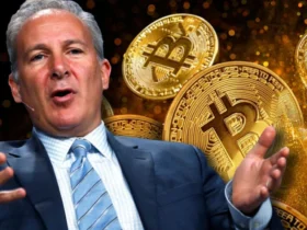پیتر شیف: بیت‌کوین نمی‌تواند نسخه دیجیتال طلا باشد _ چرا طلا همچنان برتر است؟