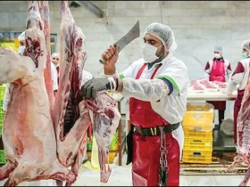 احتمال افزایش دوباره قیمت گوشت قرمز با حذف ارز ترجیحی
