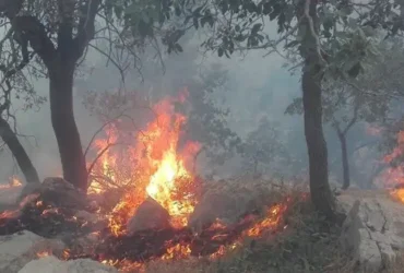 آتش‌سوزی در کوه‌های بردج شیراز _ تلاش نیروهای منابع طبیعی برای مهار حریق