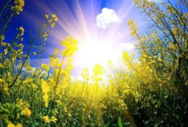 آب و هوای ایلام تا پایان هفته پایدار خواهد بود