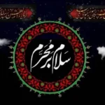 چه کارهایی در ماه محرم نباید انجام دهیم؟