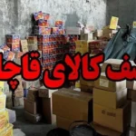 کشف ۲۸۶ میلیارد ریال کالای قاچاق در کرمان _ دستگیری ۹۴ متهم، در طرح امنیتی کرمان