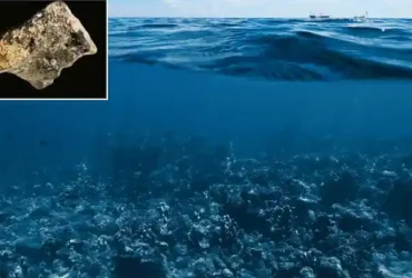 سندالند افسانه‌ای واقعی شد؛ کشف جمجمه انسان باستانی زیر آب‌های اندونزی