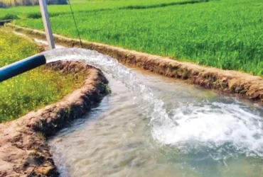 خاموشی چاه‌ های کشاورزی به بهانه برق ارزان؛ تهدیدی برای امنیت غذایی ایران