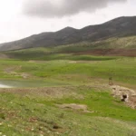 تنها ۷ درصد مراتع کشور پوشش مناسب دارند _ تأکید معاون وزیر بر مشارکت مردم در حفاظت منابع طبیعی