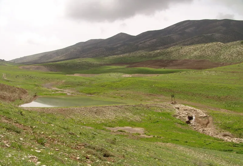 تنها ۷ درصد مراتع کشور پوشش مناسب دارند _ تأکید معاون وزیر بر مشارکت مردم در حفاظت منابع طبیعی