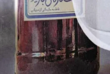 نقد و بررسی کتاب «ستاره می‌بارید» در نمایشگاه کتاب برگزار شد