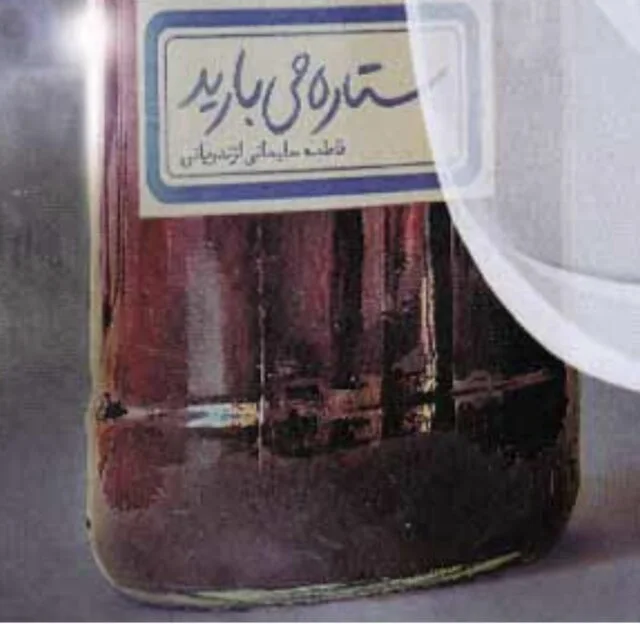 نقد و بررسی کتاب «ستاره می‌بارید» در نمایشگاه کتاب برگزار شد