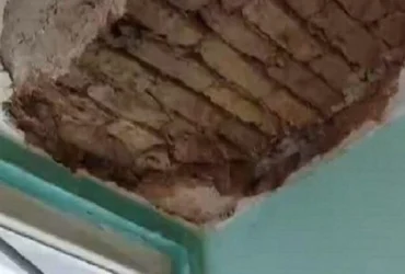 ریزش سقف خوابگاه دانشگاه تهران؛ برنامه جدید برای ساماندهی و امنیت دانشجویان