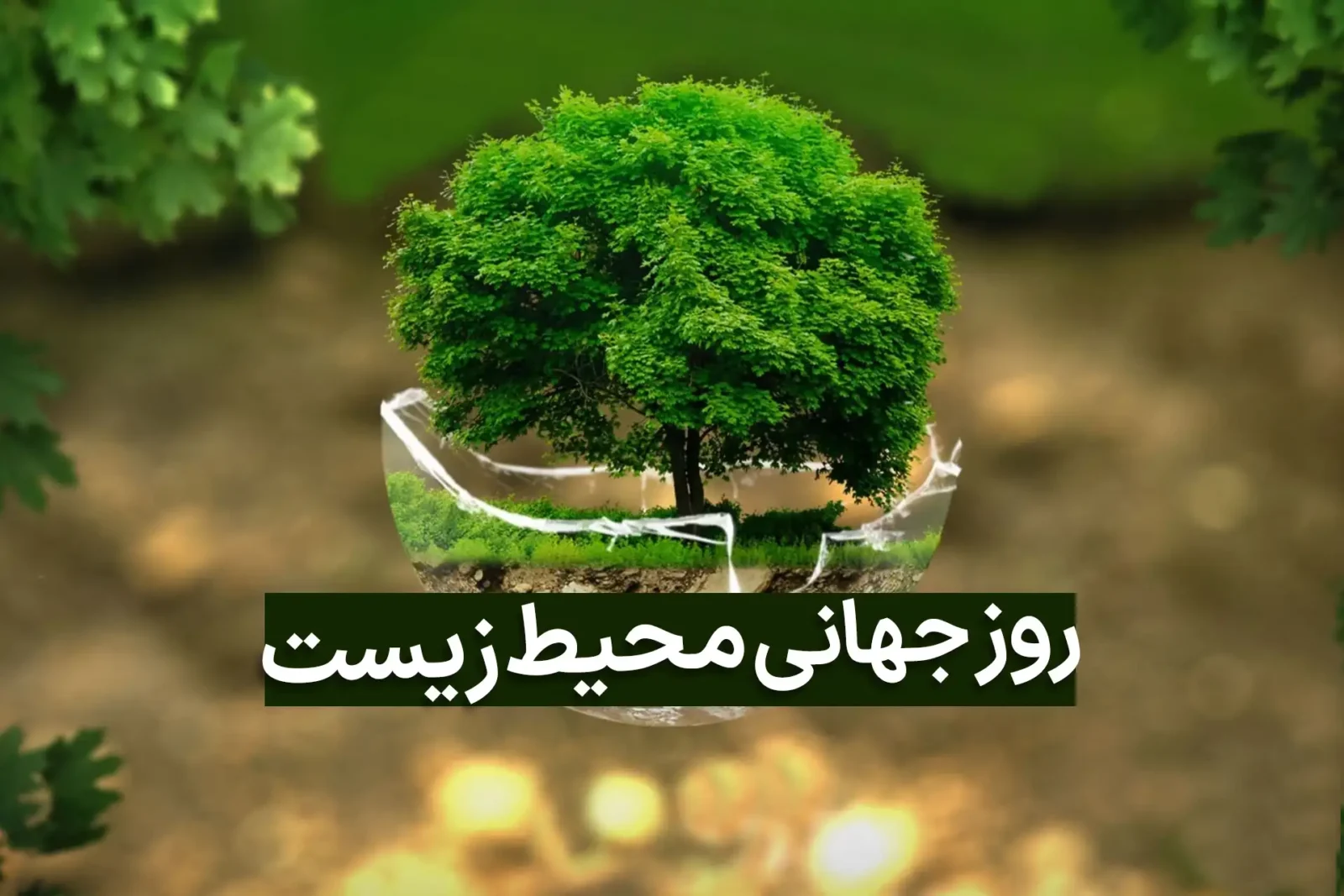 روز جهانی محیط زیست در سال 1404 چه روزی است؟